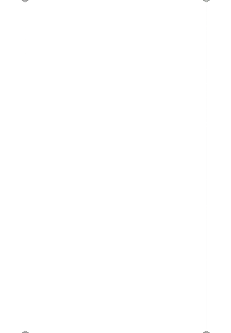 stripe-212770892630a566ef16a489c9f6393f.png